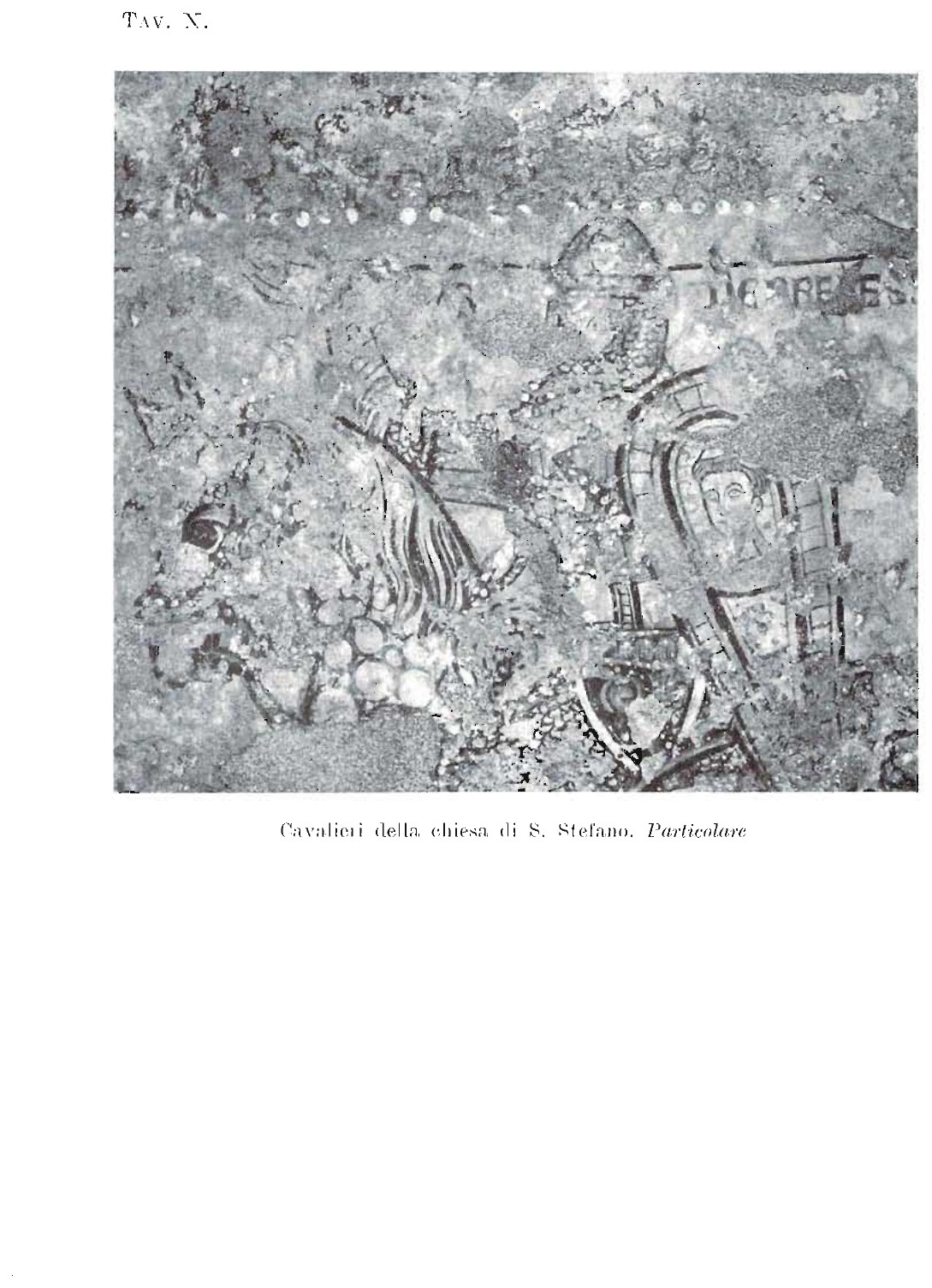 Cavaliere affresco in S. Stefano